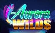 Aurora Wilds slot